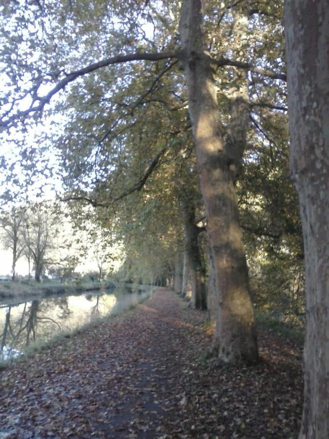 Gite 3 Etoiles "Entre Sources Et Riviere" Besancon Vaire-le-Grand Eksteriør billede